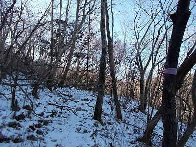 f0308898_20075429.jpg