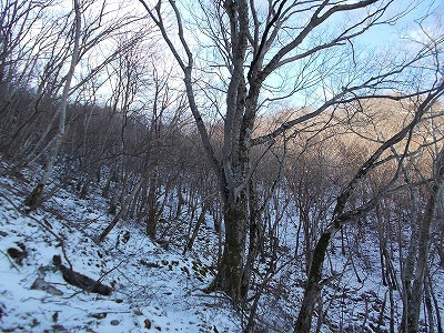 f0308898_20090645.jpg