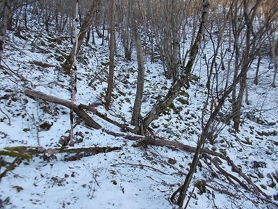 f0308898_20091590.jpg