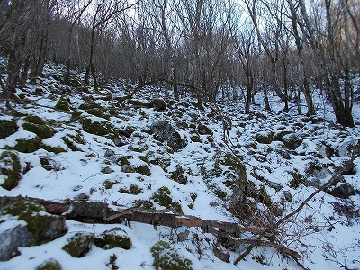 f0308898_20092379.jpg