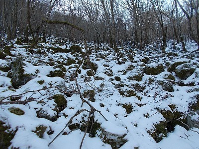 f0308898_20093349.jpg