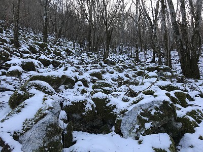 f0308898_20100715.jpg