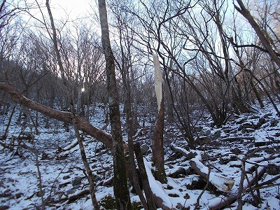 f0308898_20110430.jpg