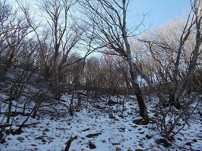 f0308898_20111795.jpg