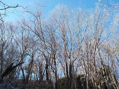 f0308898_20120733.jpg