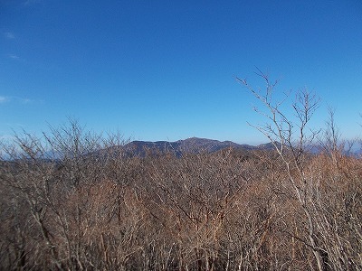 f0308898_20123707.jpg