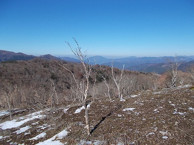 f0308898_20144535.jpg