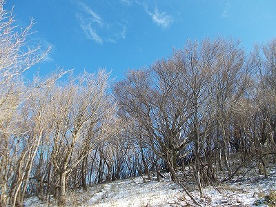 f0308898_20151574.jpg