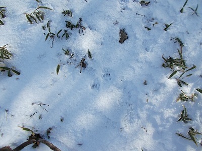 f0308898_20154680.jpg