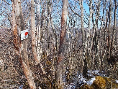 f0308898_20195568.jpg