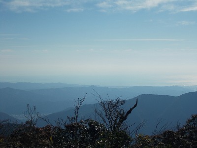 f0308898_20210009.jpg
