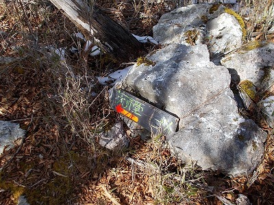f0308898_20220082.jpg