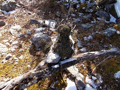f0308898_20230090.jpg
