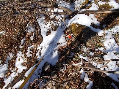 f0308898_20233002.jpg