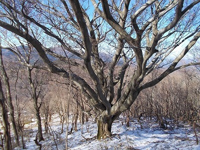 f0308898_20251839.jpg