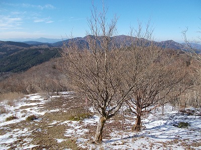 f0308898_20261584.jpg