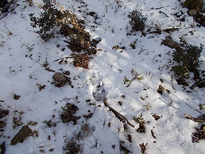 f0308898_20314849.jpg