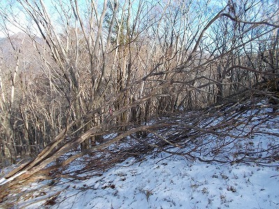 f0308898_20321620.jpg