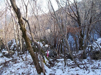 f0308898_20324665.jpg