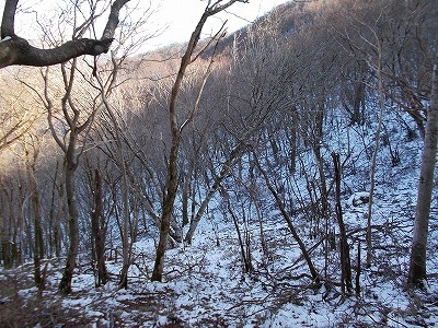 f0308898_20331744.jpg