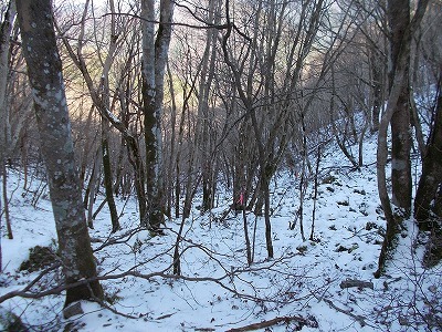 f0308898_20341677.jpg