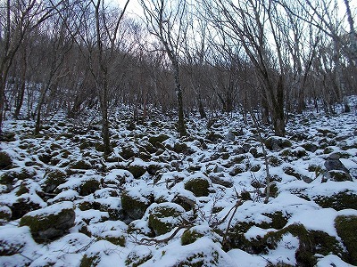 f0308898_20345438.jpg