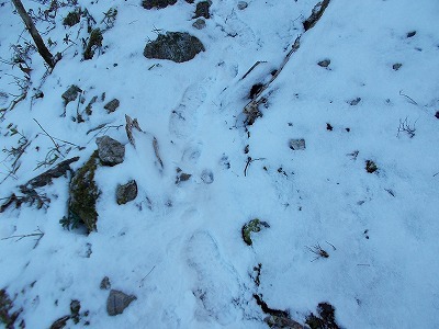 f0308898_20352489.jpg