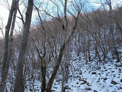 f0308898_20360668.jpg