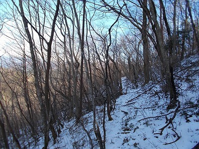 f0308898_20363706.jpg