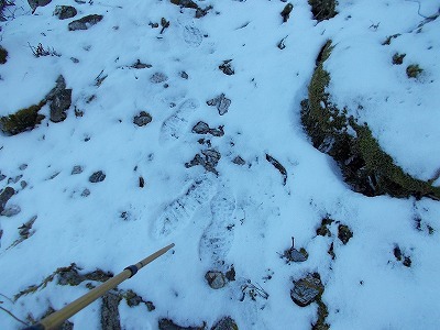 f0308898_20370771.jpg