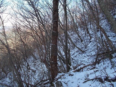 f0308898_20391479.jpg