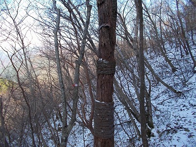 f0308898_20394929.jpg