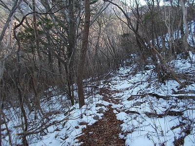 f0308898_20432697.jpg