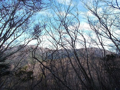 f0308898_20433747.jpg