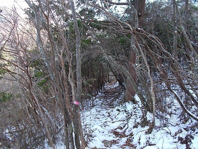 f0308898_20440149.jpg