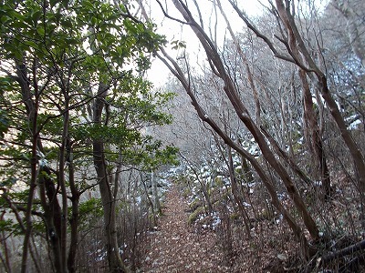 f0308898_20441600.jpg