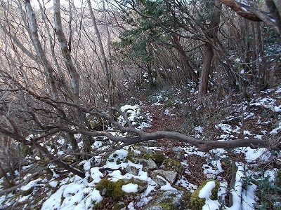 f0308898_20442586.jpg