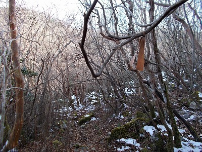 f0308898_20443527.jpg