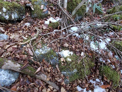 f0308898_20445137.jpg