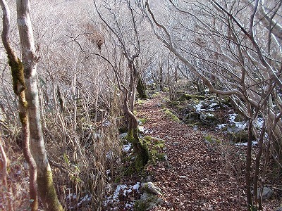 f0308898_20450745.jpg