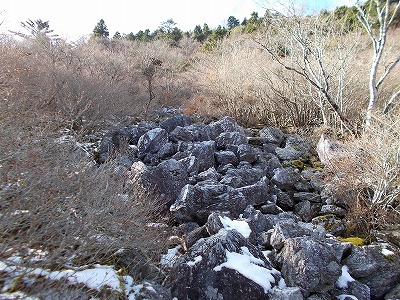 f0308898_20454731.jpg