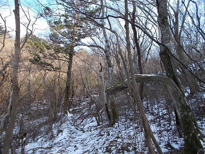 f0308898_20463690.jpg