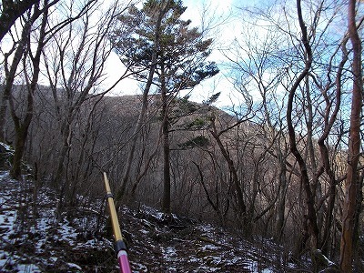 f0308898_20465107.jpg