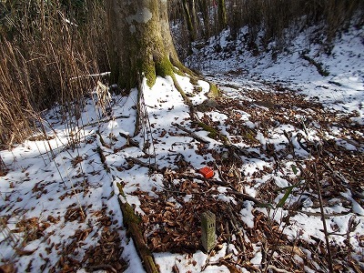 f0308898_20482112.jpg