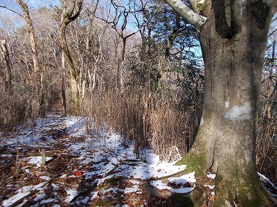 f0308898_20483768.jpg