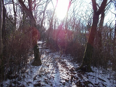 f0308898_20491709.jpg