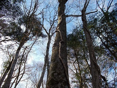 f0308898_20532867.jpg