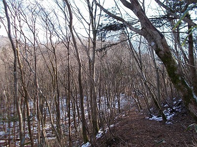 f0308898_20534280.jpg