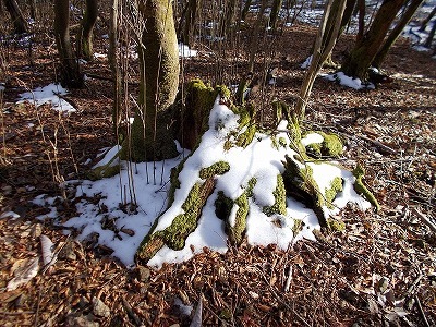 f0308898_20535474.jpg