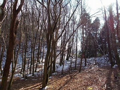 f0308898_20540942.jpg